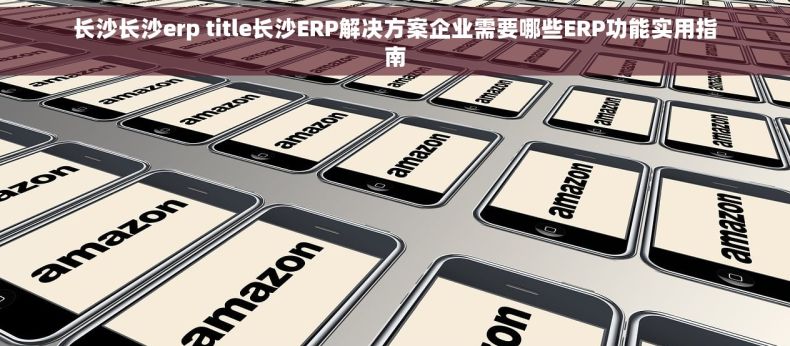 长沙长沙erp title长沙ERP解决方案企业需要哪些ERP功能实用指南