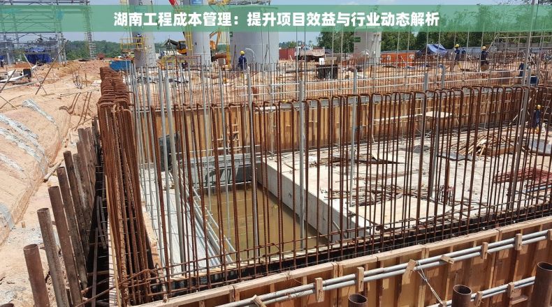 湖南工程成本管理：提升项目效益与行业动态解析