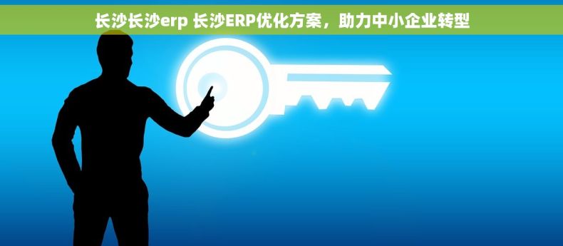长沙长沙erp 长沙ERP优化方案，助力中小企业转型