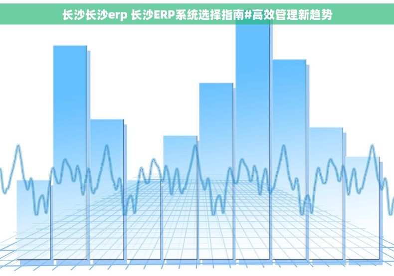 长沙长沙erp 长沙ERP系统选择指南#高效管理新趋势