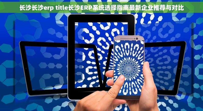 长沙长沙erp title长沙ERP系统选择指南最新企业推荐与对比