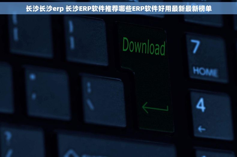 长沙长沙erp 长沙ERP软件推荐哪些ERP软件好用最新最新榜单