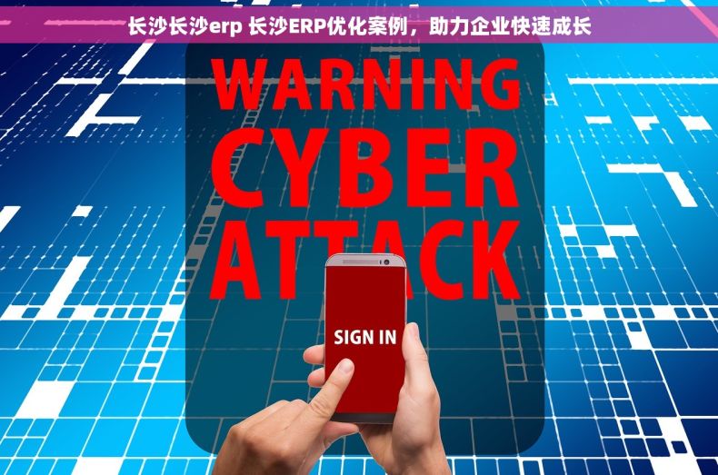长沙长沙erp 长沙ERP优化案例，助力企业快速成长