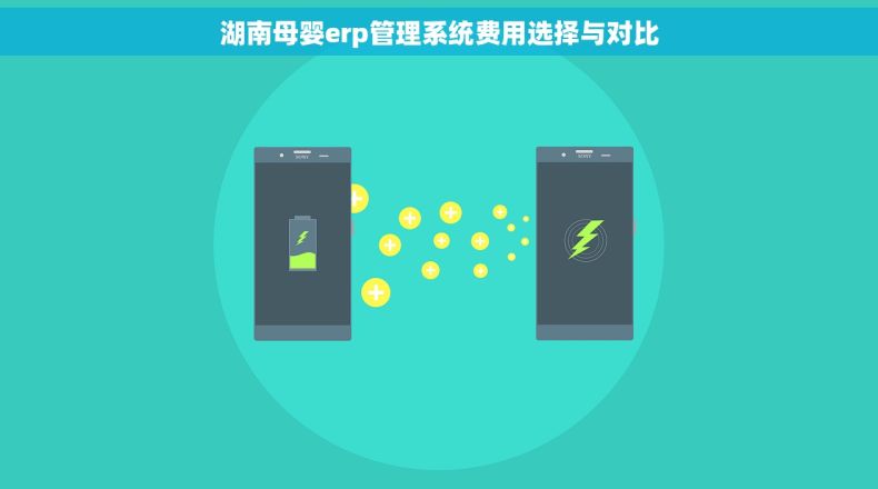 湖南母婴erp管理系统费用选择与对比