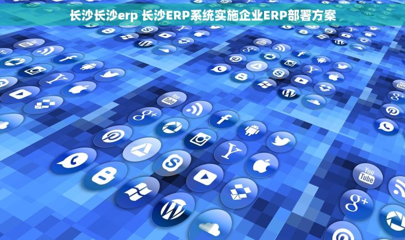 长沙长沙erp 长沙ERP系统实施企业ERP部署方案