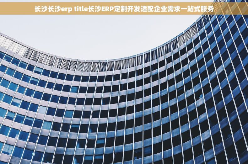 长沙长沙erp title长沙ERP定制开发适配企业需求一站式服务