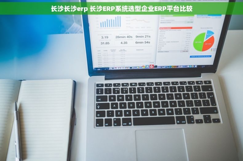 长沙长沙erp 长沙ERP系统选型企业ERP平台比较