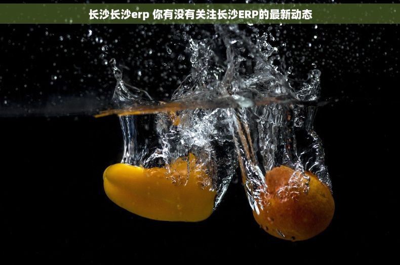 长沙长沙erp 你有没有关注长沙ERP的最新动态