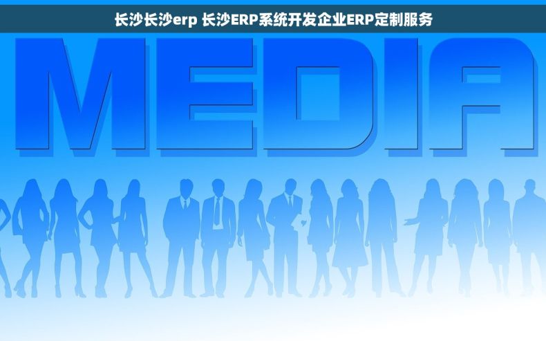 长沙长沙erp 长沙ERP系统开发企业ERP定制服务