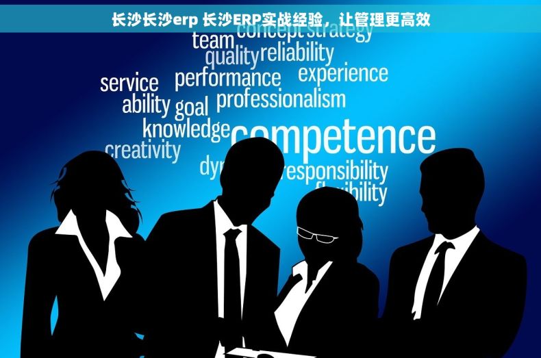 长沙长沙erp 长沙ERP实战经验，让管理更高效