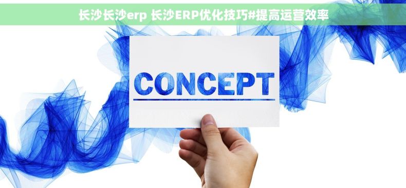 长沙长沙erp 长沙ERP优化技巧#提高运营效率