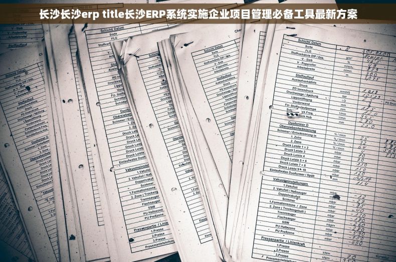 长沙长沙erp title长沙ERP系统实施企业项目管理必备工具最新方案