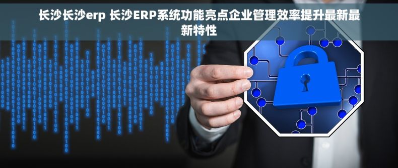 长沙长沙erp 长沙ERP系统功能亮点企业管理效率提升最新最新特性
