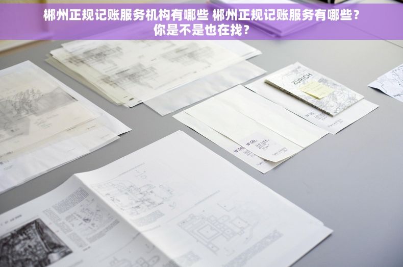 郴州正规记账服务机构有哪些 郴州正规记账服务有哪些？你是不是也在找？