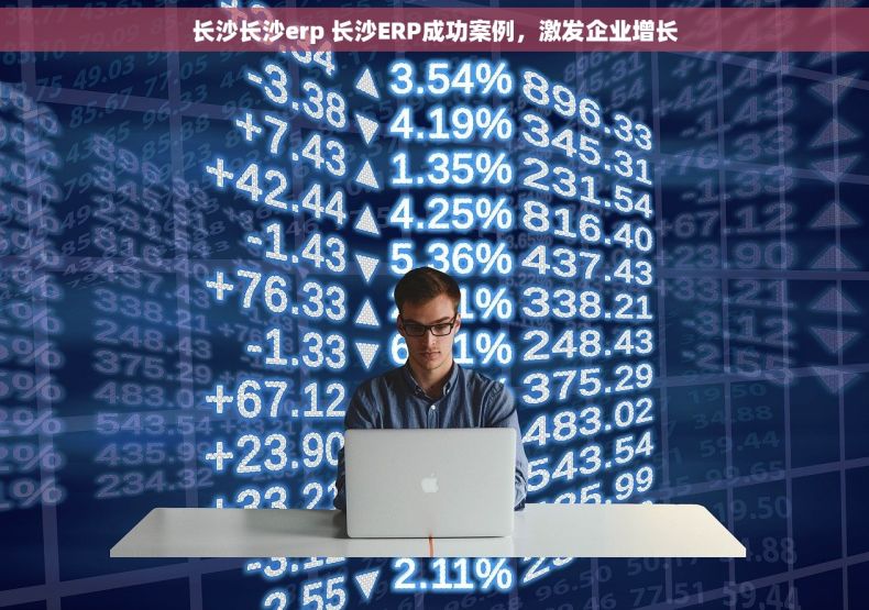 长沙长沙erp 长沙ERP成功案例，激发企业增长