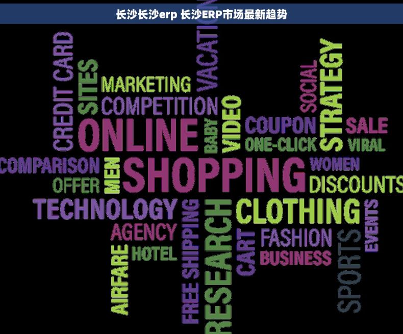 长沙长沙erp 长沙ERP市场最新趋势