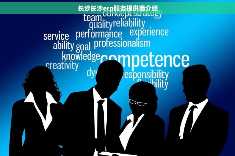 长沙长沙erp服务提供商介绍
