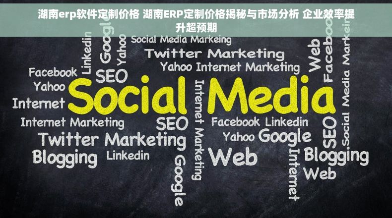 湖南erp软件定制价格 湖南ERP定制价格揭秘与市场分析 企业效率提升超预期