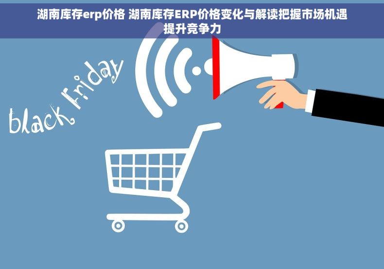 湖南库存erp价格 湖南库存ERP价格变化与解读把握市场机遇提升竞争力