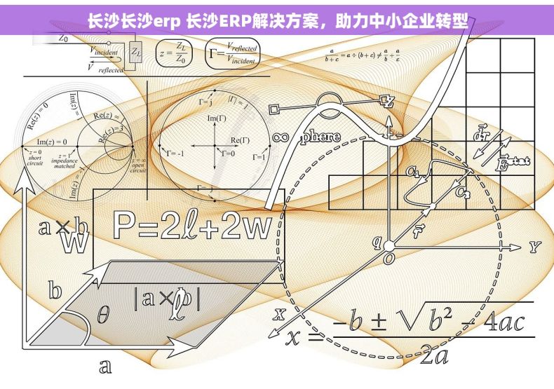 长沙长沙erp 长沙ERP解决方案，助力中小企业转型