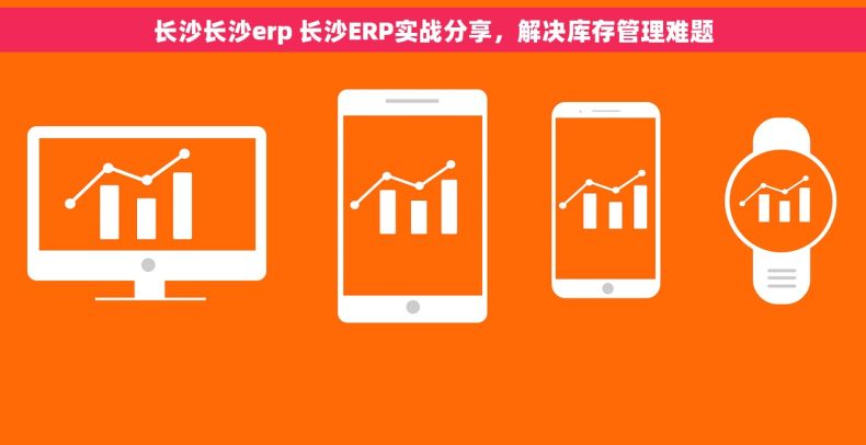 长沙长沙erp 长沙ERP实战分享，解决库存管理难题