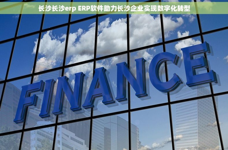 长沙长沙erp ERP软件助力长沙企业实现数字化转型