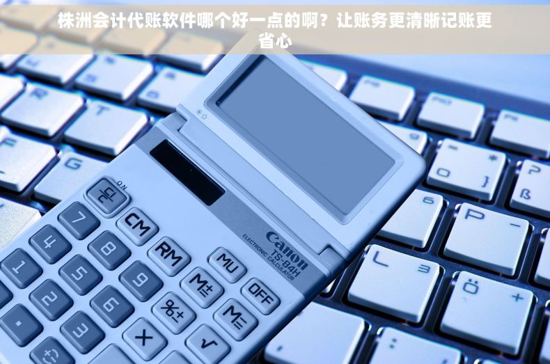 株洲会计代账软件哪个好一点的啊？让账务更清晰记账更省心