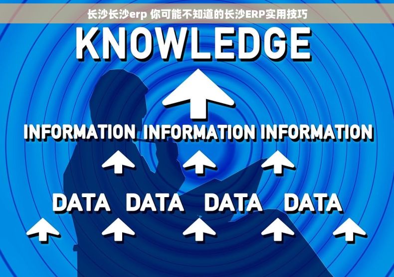 长沙长沙erp 你可能不知道的长沙ERP实用技巧