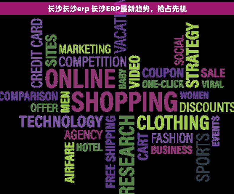 长沙长沙erp 长沙ERP最新趋势，抢占先机