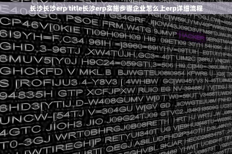 长沙长沙erp title长沙erp实施步骤企业怎么上erp详细流程