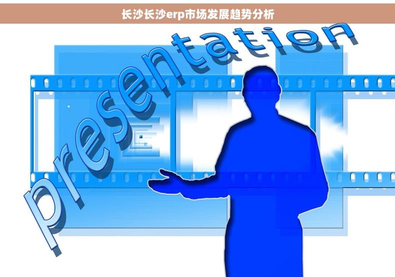 长沙长沙erp市场发展趋势分析