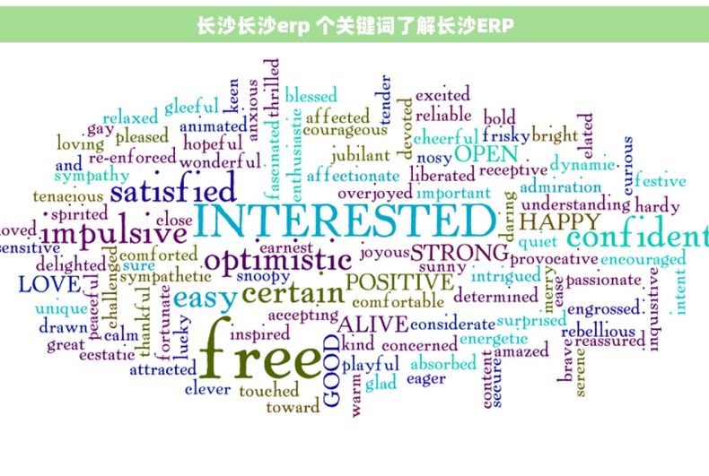 长沙长沙erp 个关键词了解长沙ERP
