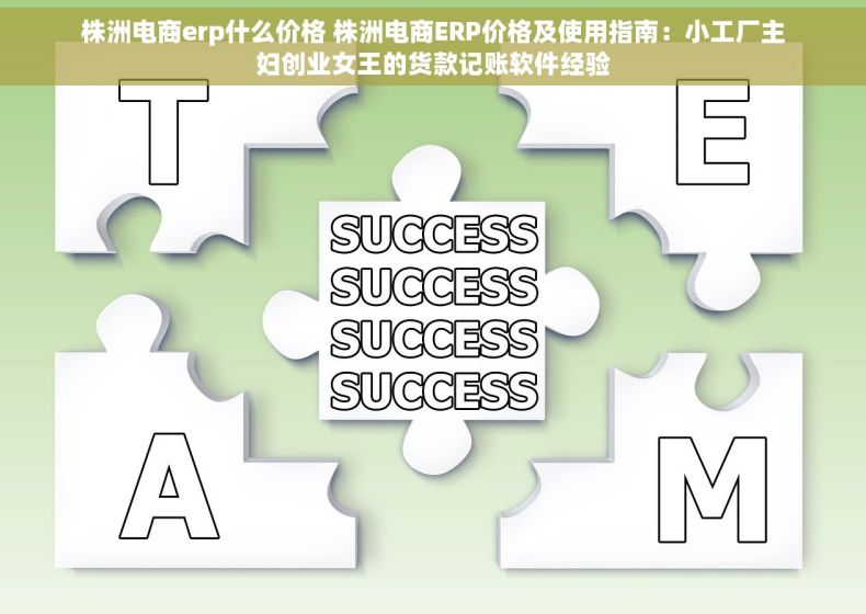 株洲电商erp什么价格 株洲电商ERP价格及使用指南：小工厂主妇创业女王的货款记账软件经验