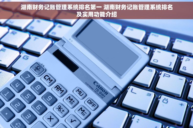 湖南财务记账管理系统排名第一 湖南财务记账管理系统排名及实用功能介绍