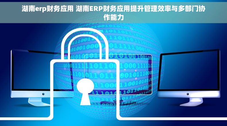湖南erp财务应用 湖南ERP财务应用提升管理效率与多部门协作能力
