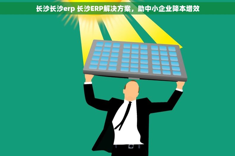 长沙长沙erp 长沙ERP解决方案，助中小企业降本增效