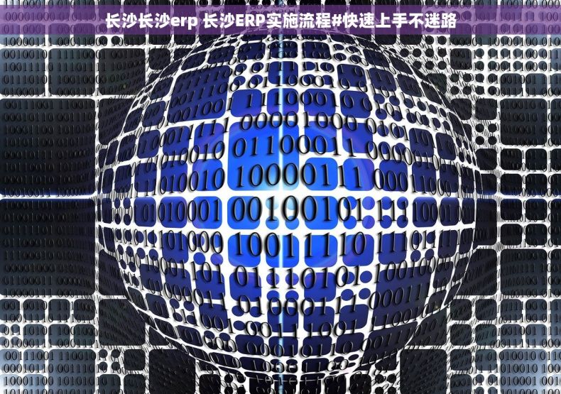 长沙长沙erp 长沙ERP实施流程#快速上手不迷路