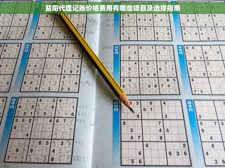 益阳代理记账价格费用有哪些项目及选择指南