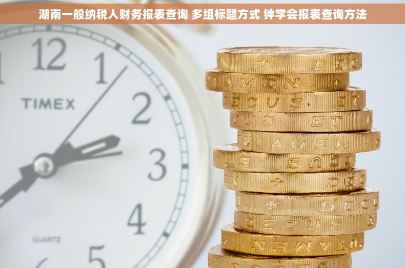 湖南一般纳税人财务报表查询 多组标题方式 钟学会报表查询方法