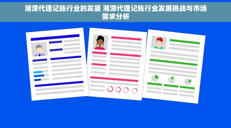 湘潭代理记账行业的发展 湘潭代理记账行业发展挑战与市场需求分析