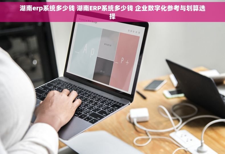 湖南erp系统多少钱 湖南ERP系统多少钱 企业数字化参考与划算选择