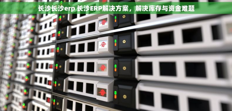 长沙长沙erp 长沙ERP解决方案，解决库存与资金难题