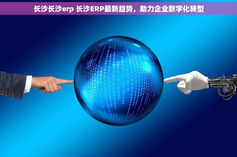 长沙长沙erp 长沙ERP最新趋势，助力企业数字化转型