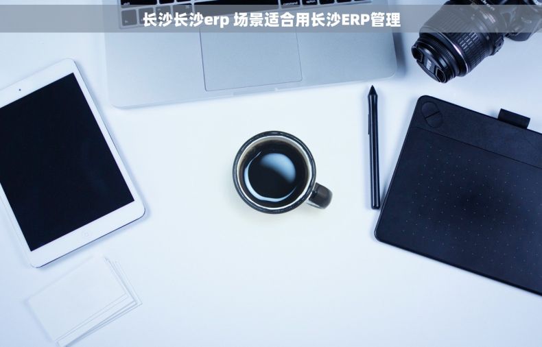 长沙长沙erp 场景适合用长沙ERP管理