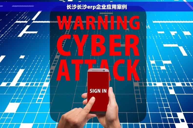 长沙长沙erp企业应用案例