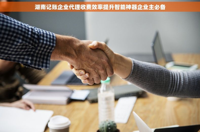 湖南记账企业代理收费效率提升智能神器企业主必备