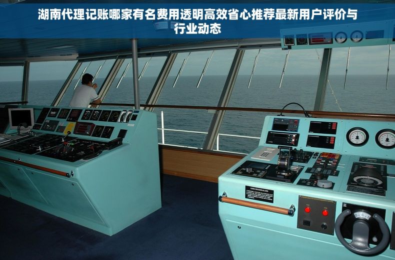 湖南代理记账哪家有名费用透明高效省心推荐最新用户评价与行业动态