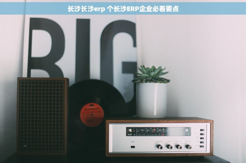 长沙长沙erp 个长沙ERP企业必看要点