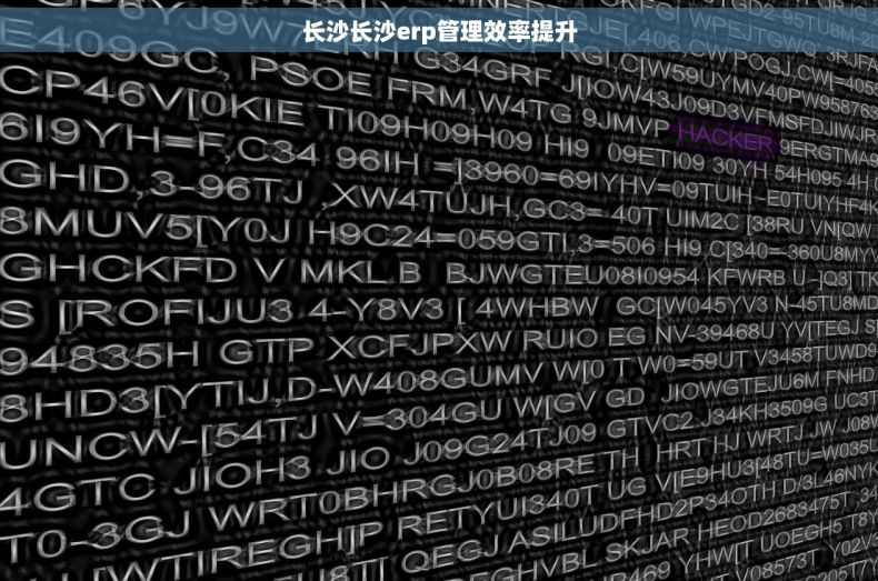 长沙长沙erp管理效率提升