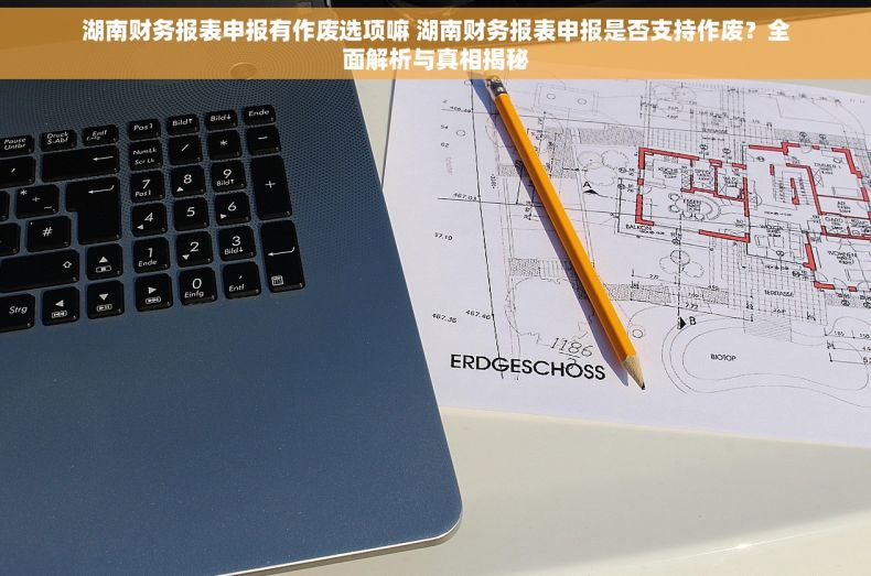 湖南财务报表申报有作废选项嘛 湖南财务报表申报是否支持作废？全面解析与真相揭秘
